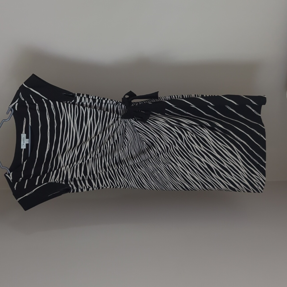 Dress Barn Ladies Dress